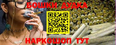 крисы Абакан
