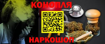 крисы Абакан