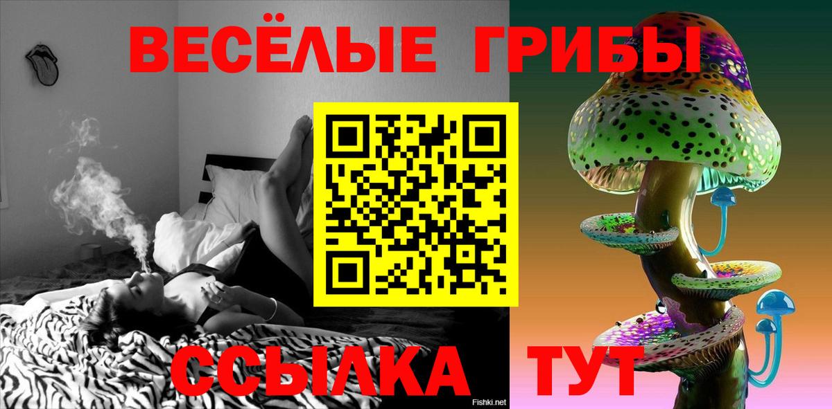 Галлюциногенные грибы Psilocybine cubensis Алейск