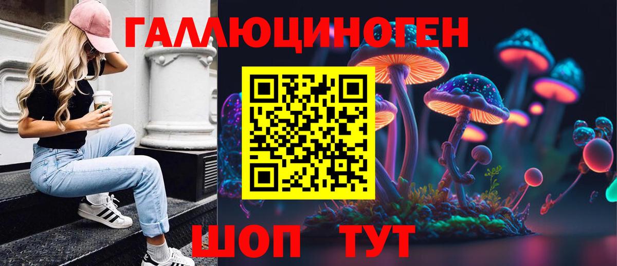 Алейск  Псилоцибиновые грибы GOLDEN TEACHER  Вход с VPN  Галлюциногенные грибы прущие грибы 