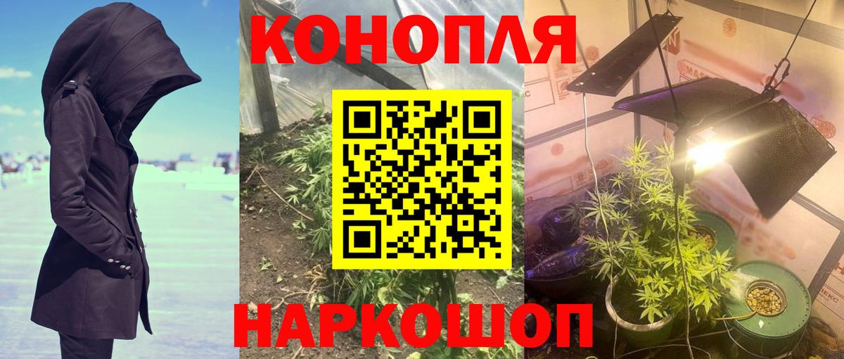 Бошки марихуана планчик  Каннабис индика  Алейск  Вход с VPN  Шишки марихуана индика 